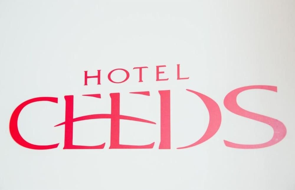 HOTEL CEEDS - アダルト オンリー 大阪