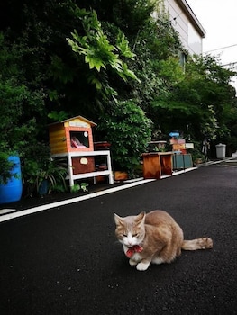 エア 大阪 ホステル 大阪