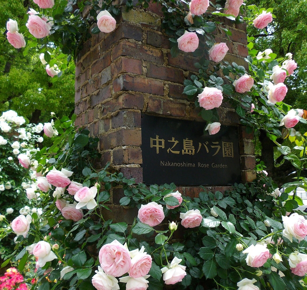 @RLIS_HOUSE 難波南 大阪