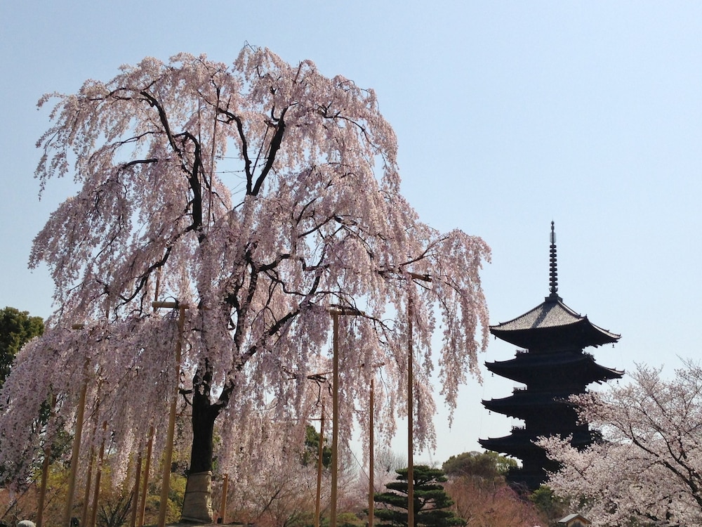 ホテルリブマックス BUDGET 京都五条 京都