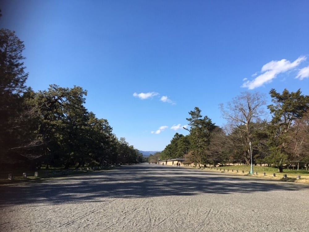 ザ・スクリーン 京都
