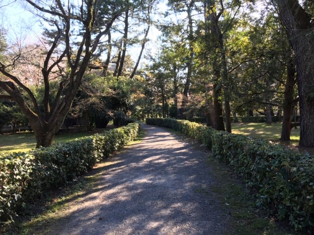 ザ・スクリーン 京都