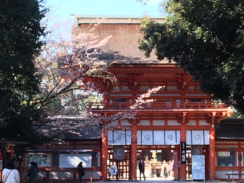 ザ・スクリーン 京都