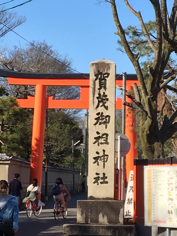 ザ・スクリーン 京都