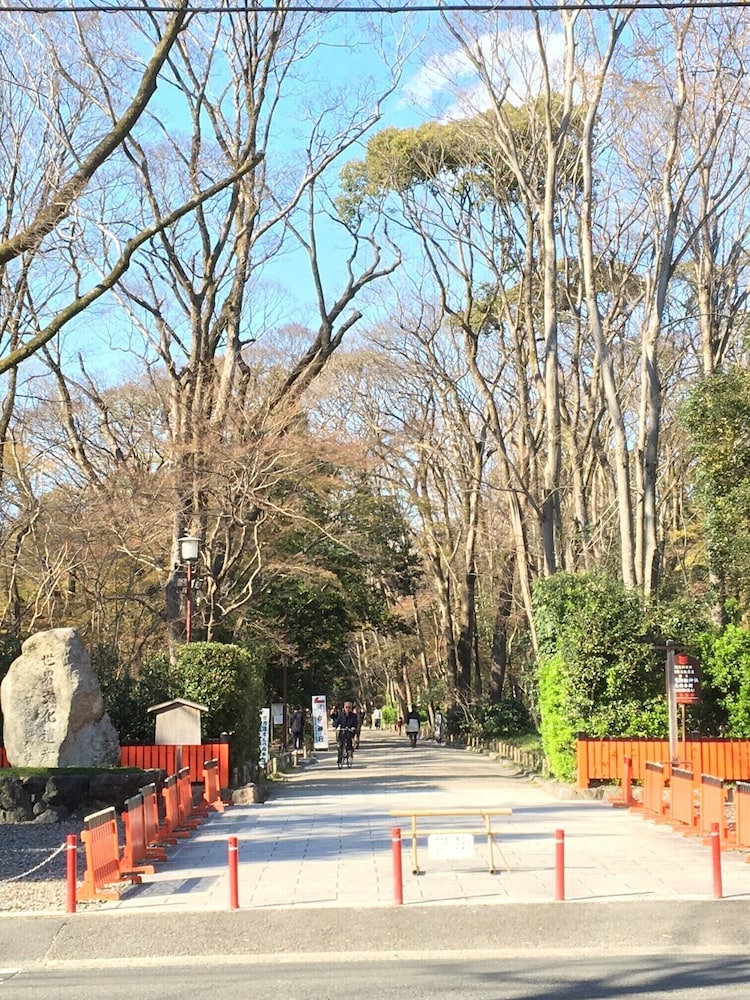 ザ・スクリーン 京都
