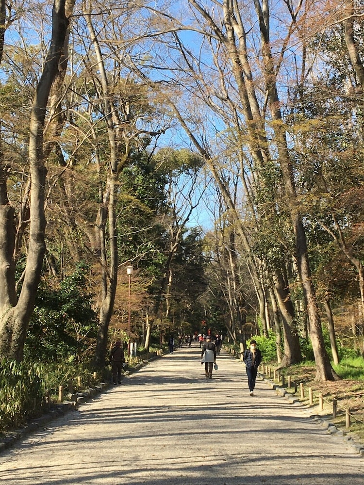 ザ・スクリーン 京都
