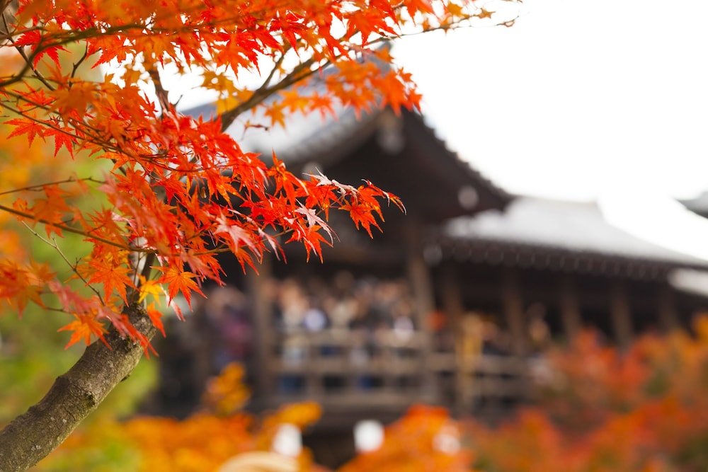 アーバンホテル京都 京都