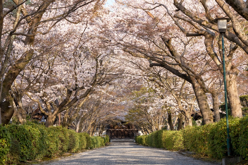 ロテルド比叡 京都