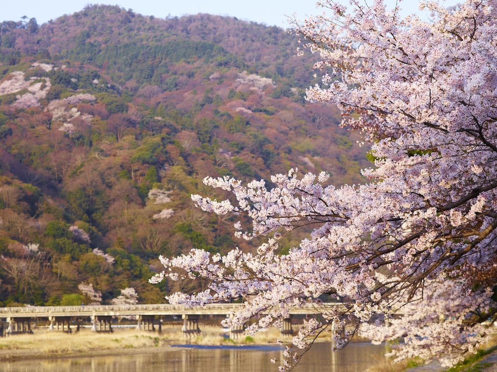 ロテルド比叡 京都