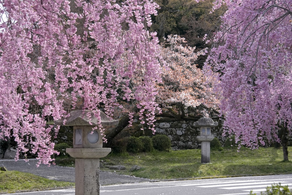 ロテルド比叡 京都