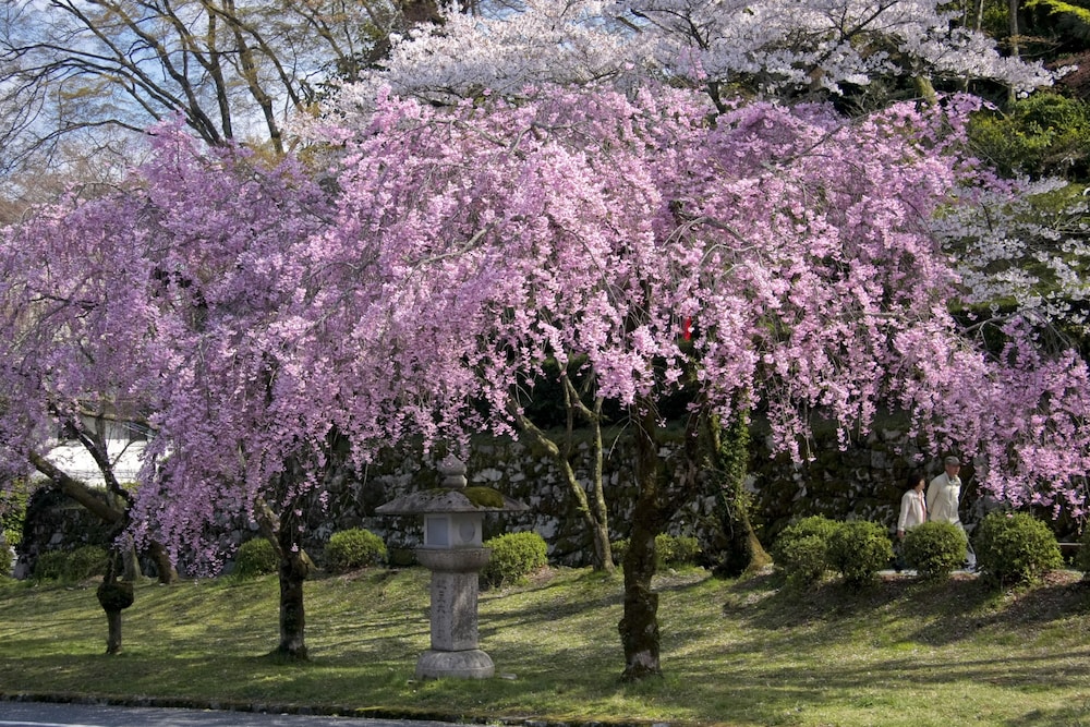 ロテルド比叡 京都