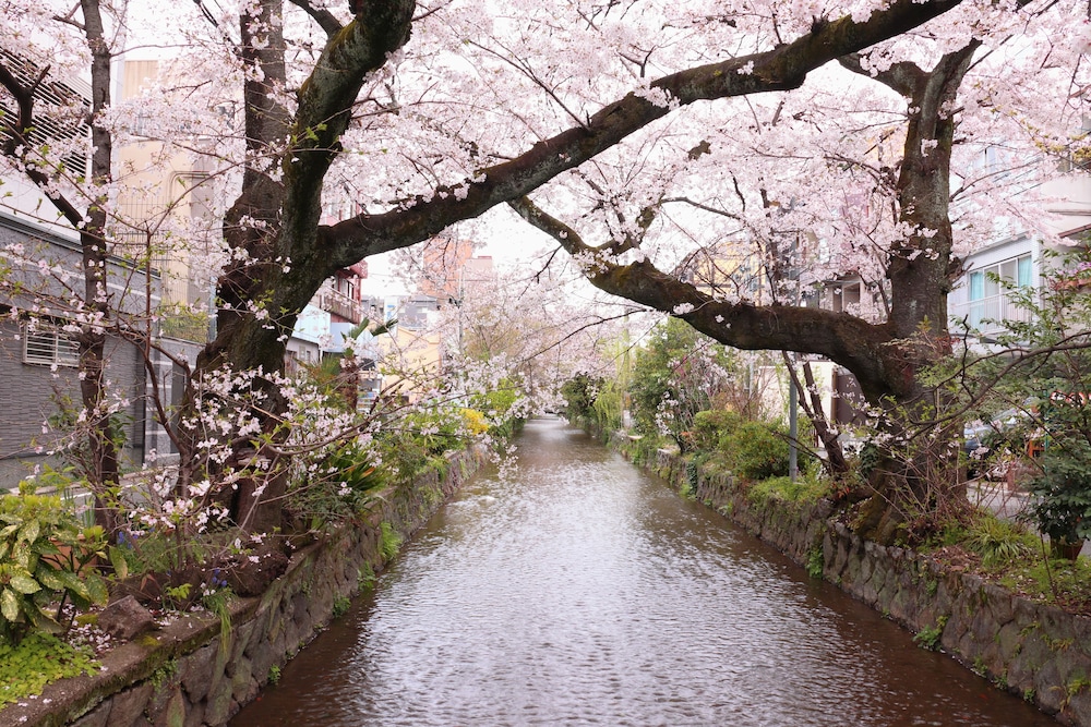 京都 高瀬川別邸 京都