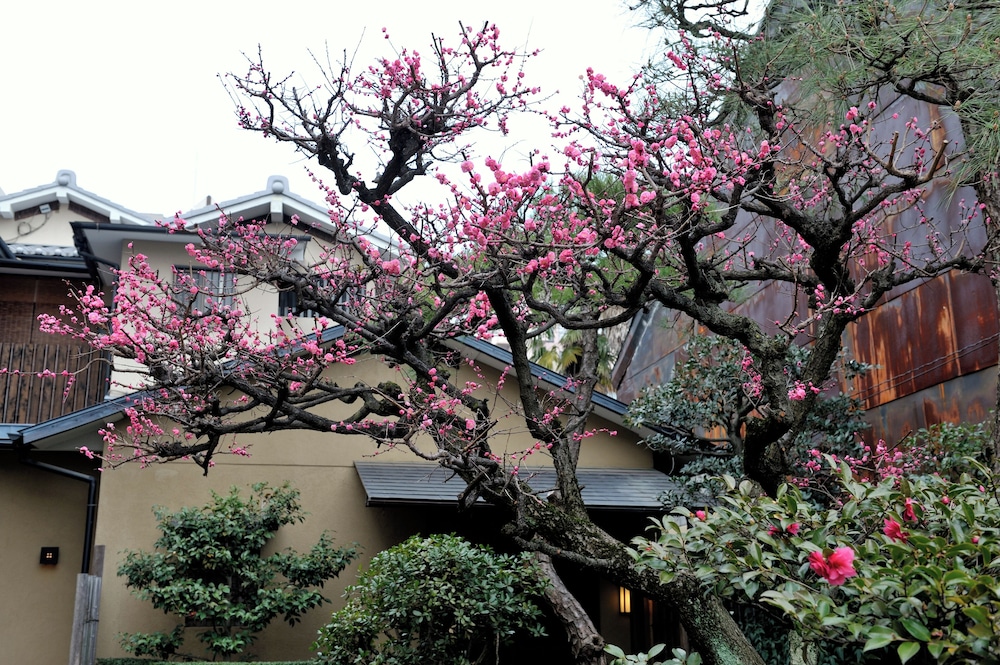 宿屋 西陣荘 京都