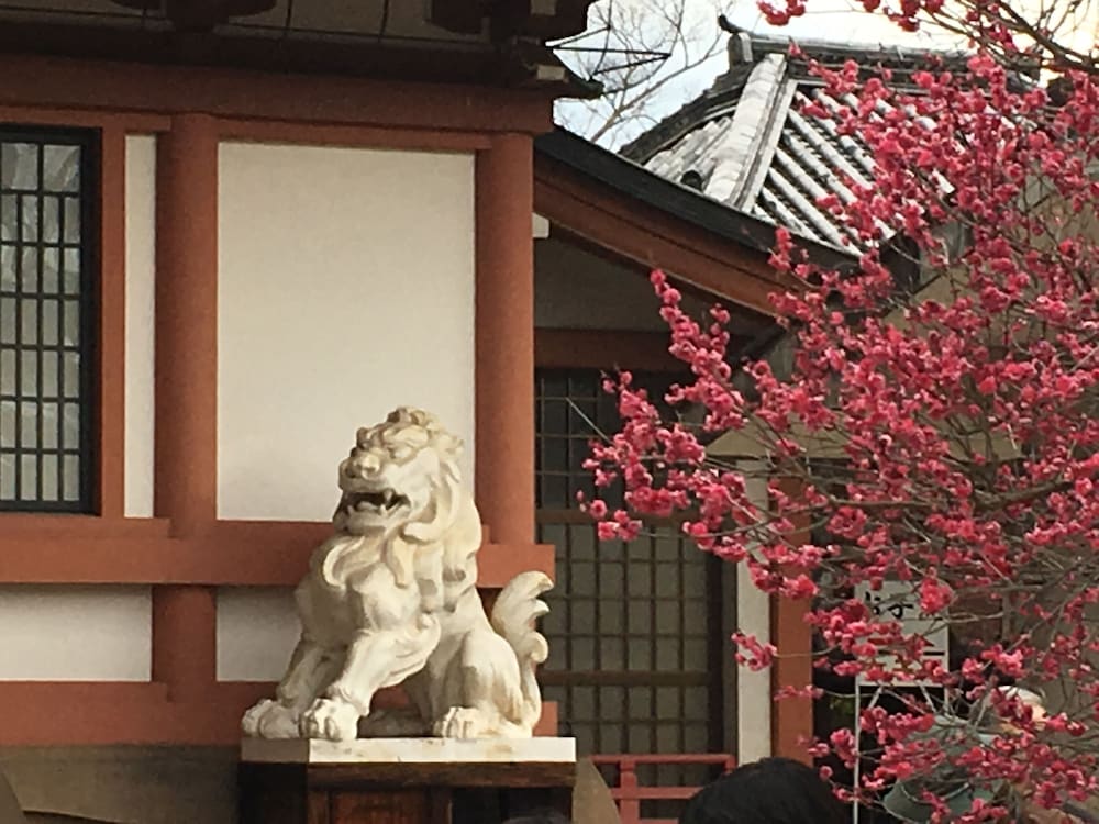 つばめ家 京都