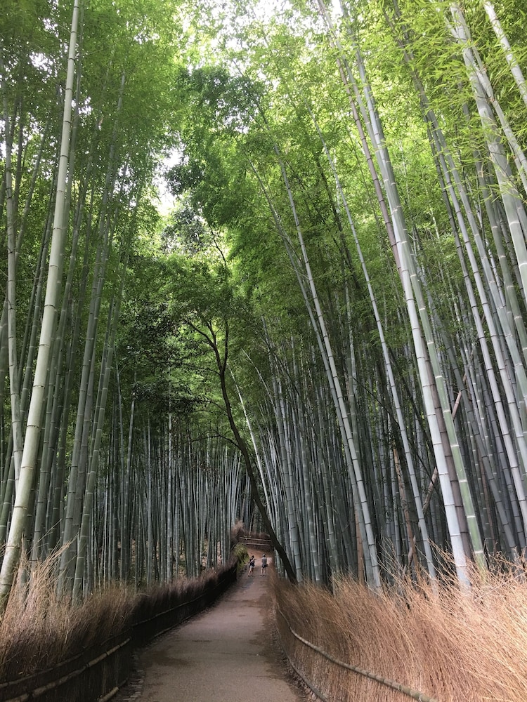 つばめ家 京都