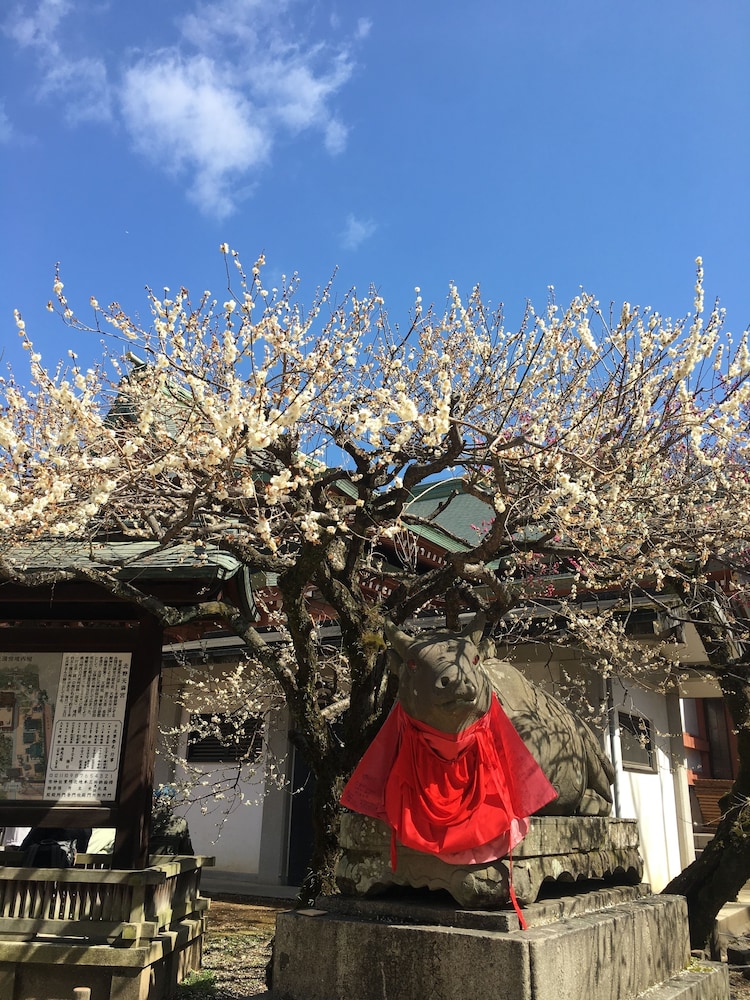 つばめ家 京都