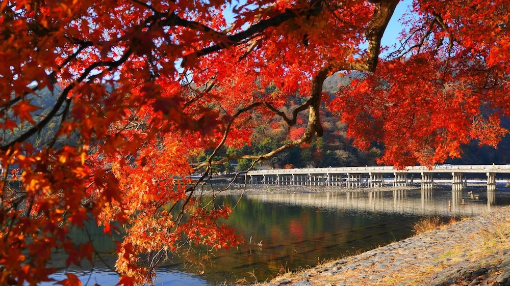 CAPHOTEL KYOTO 京都