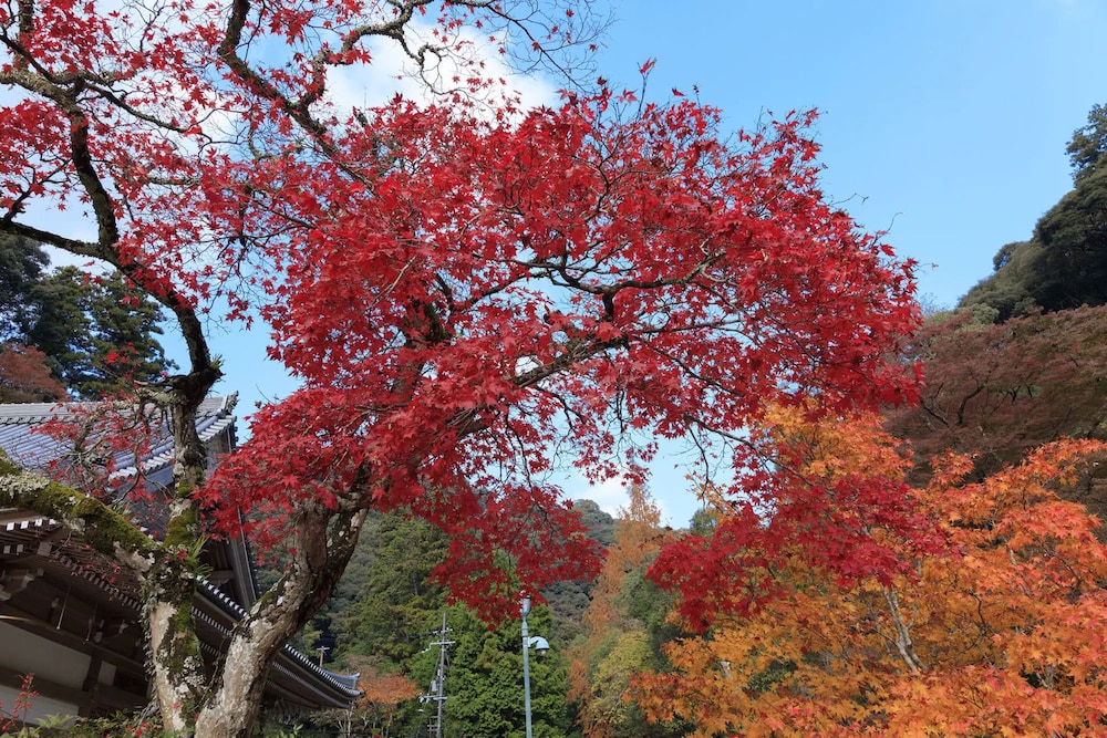 CAPHOTEL KYOTO 京都
