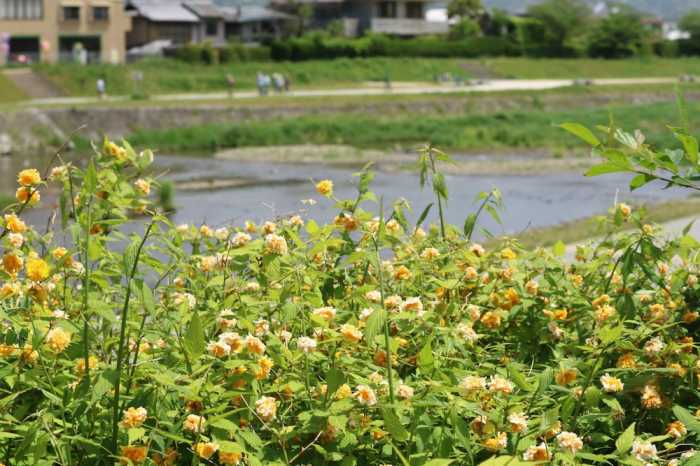 ハウズファースト五条大宮 京都