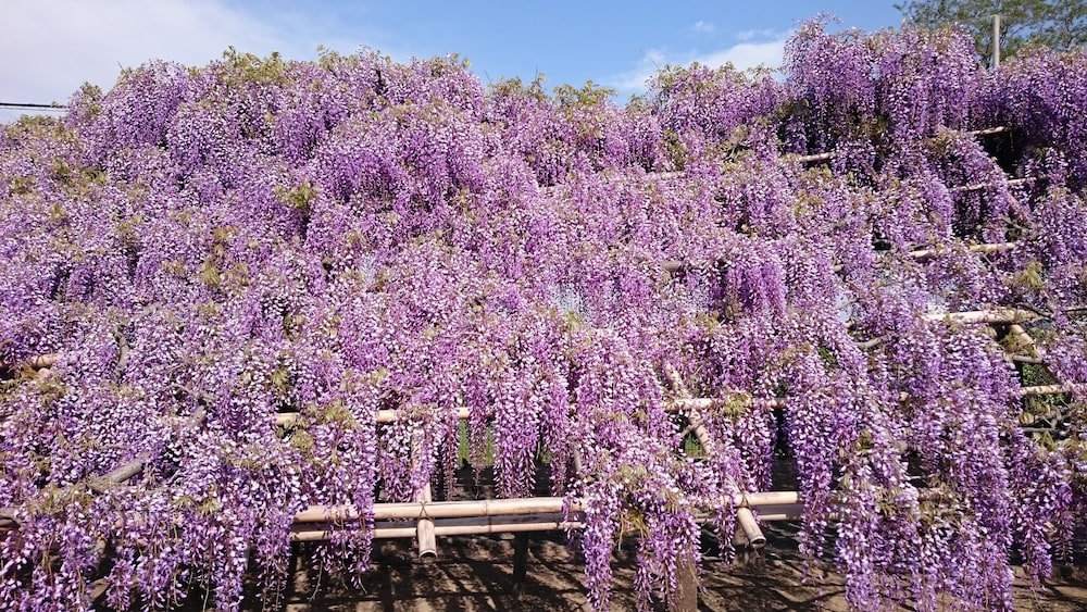 京の宿 千鶴別邸 京都