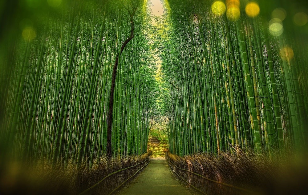 宮木邸 京都