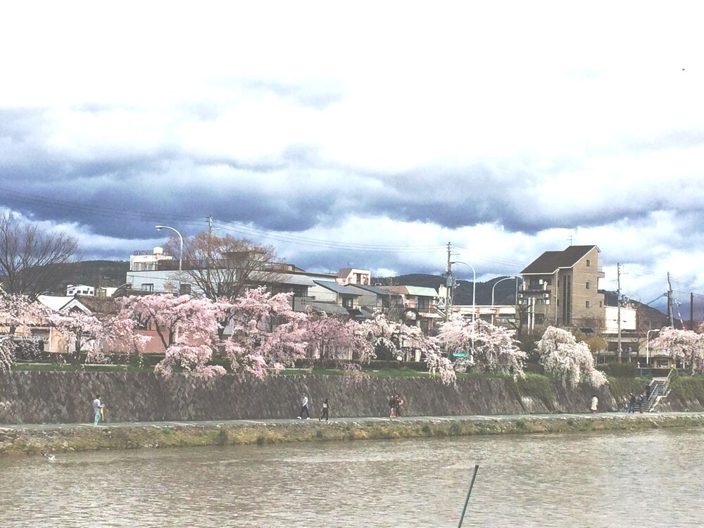 五条　パラディソ 京都
