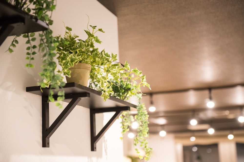 HOSTEL KYOTO KIZUNA -絆- 京都