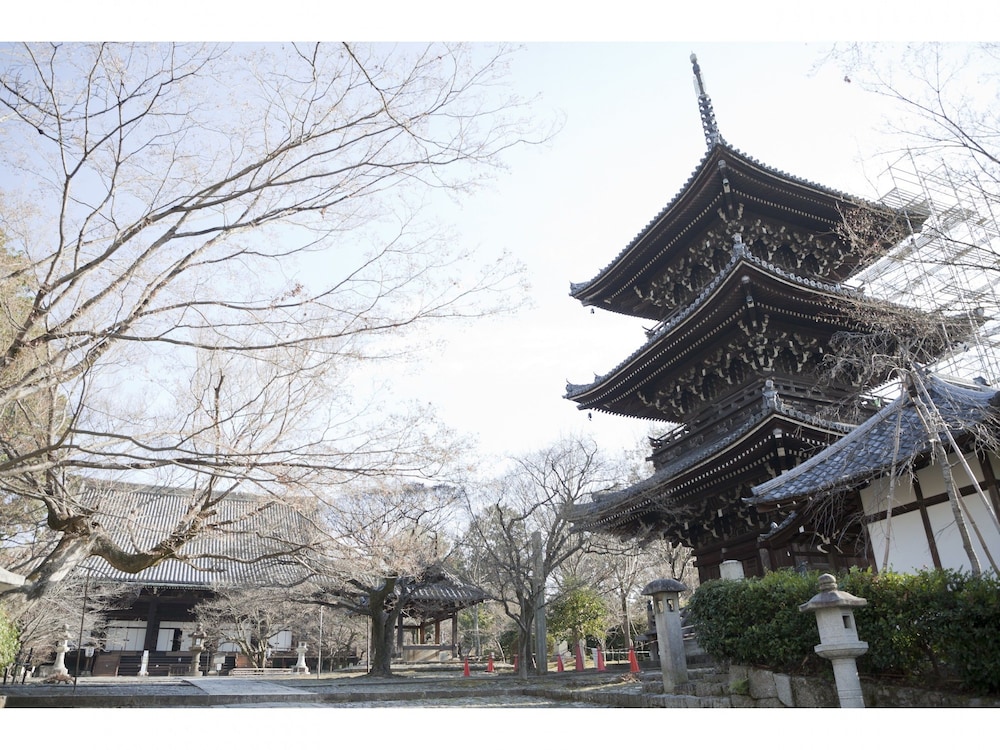 ゲストハウス葵 中本 京都