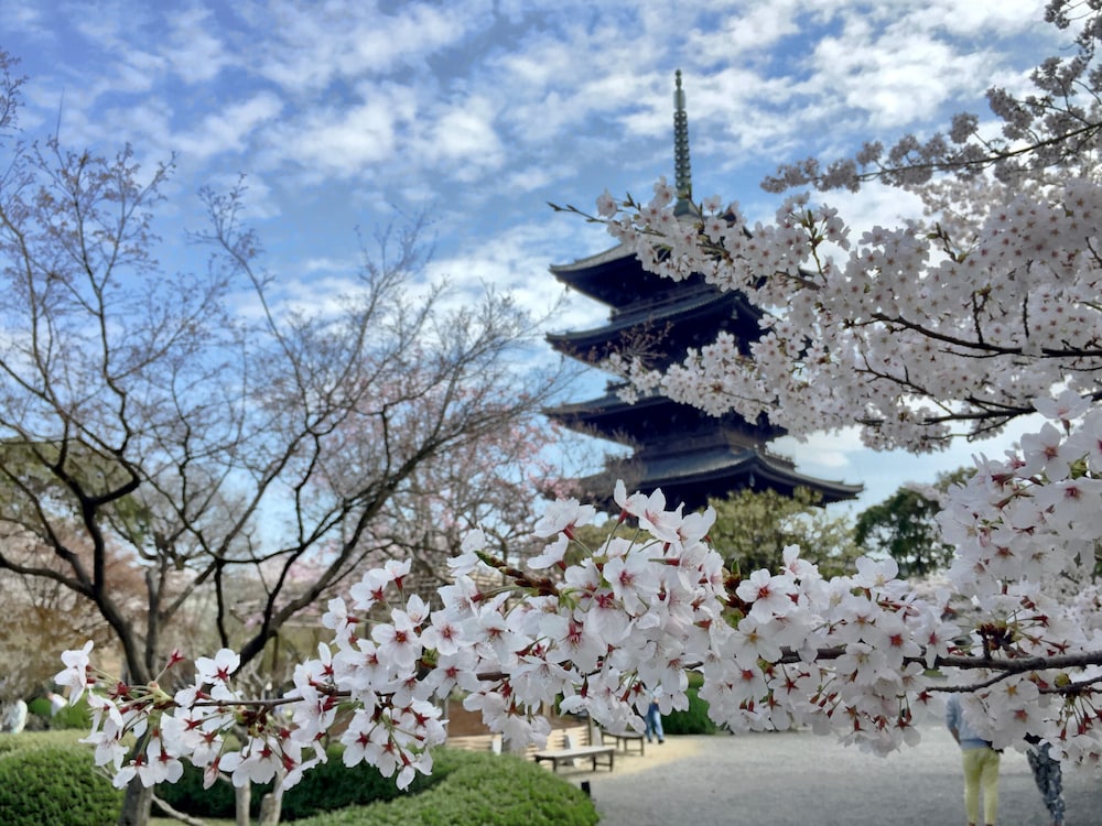 イビススタイルズ京都ステーション 京都