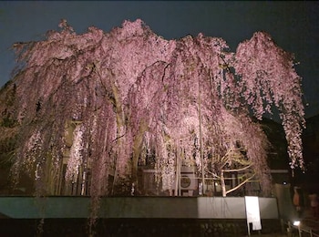 デュ・ラン 侍家 京都