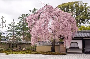 デュ・ラン 侍家 京都