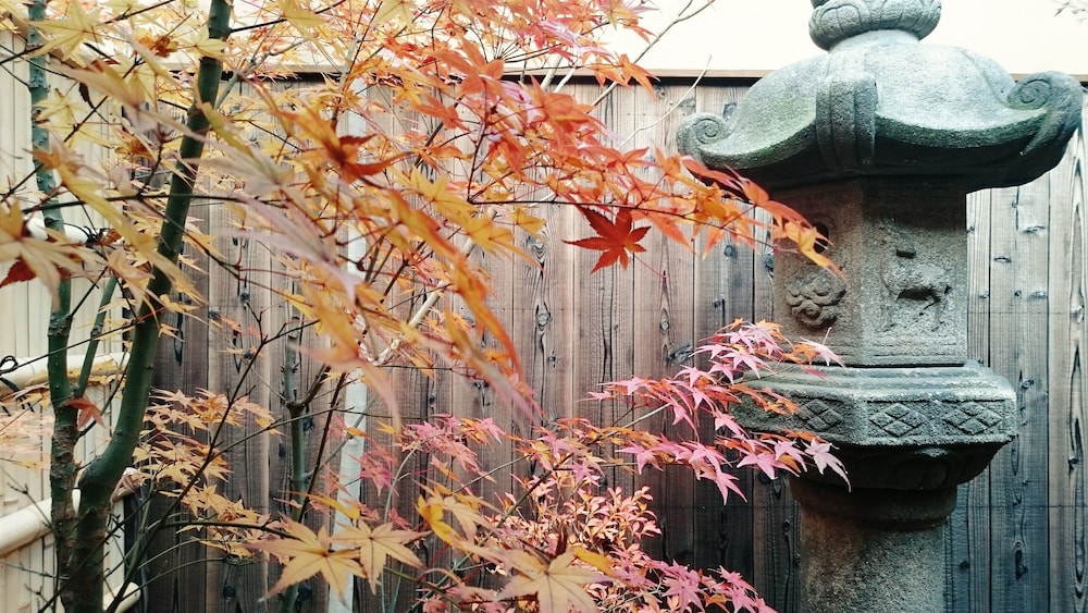 ゲストハウス樸宿 京都