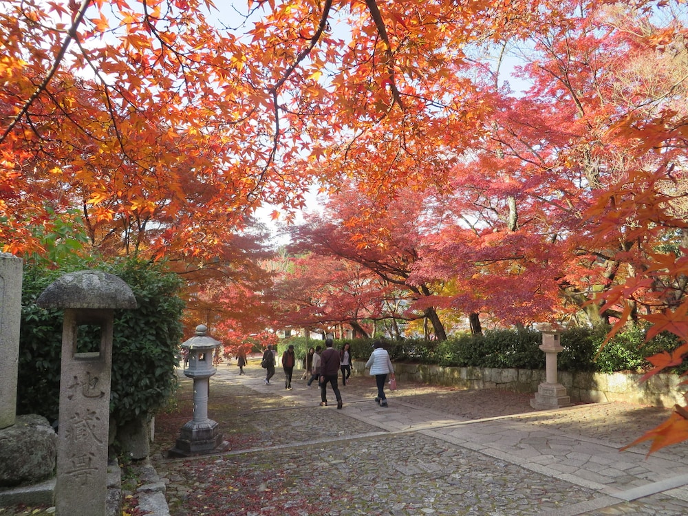 VILLA法然院西 京都