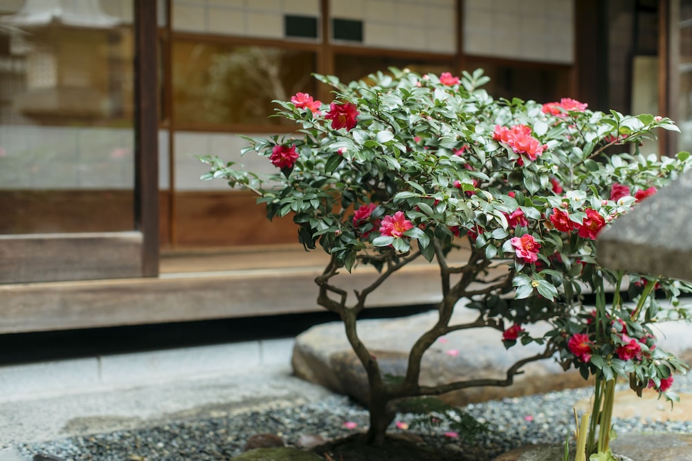 十四春旅館 京都