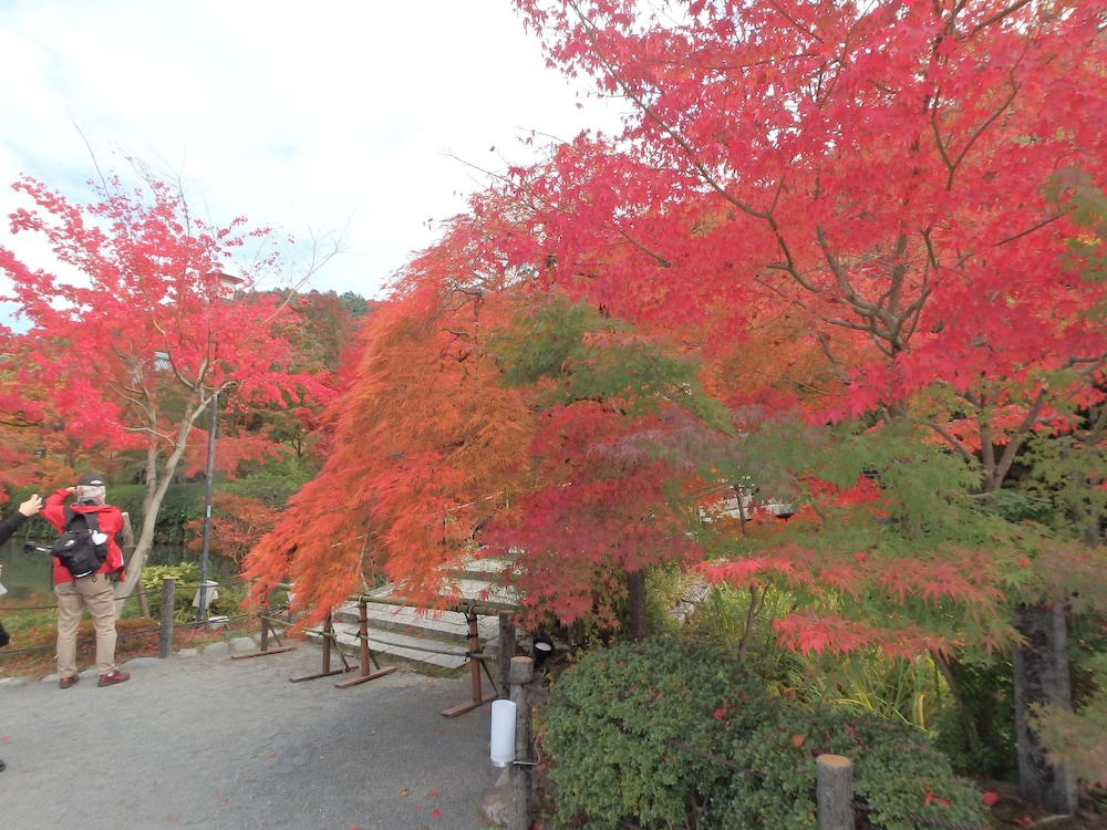 京の宿 西大路 京都