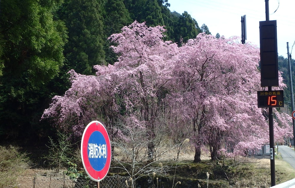 京の宿 西大路 京都