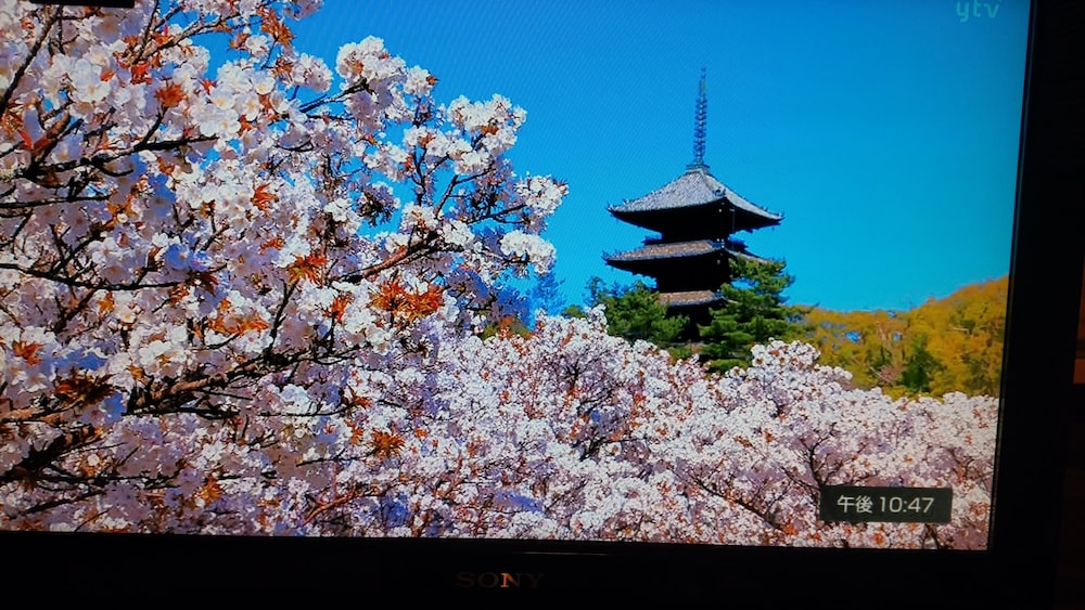 京の宿 西大路 京都