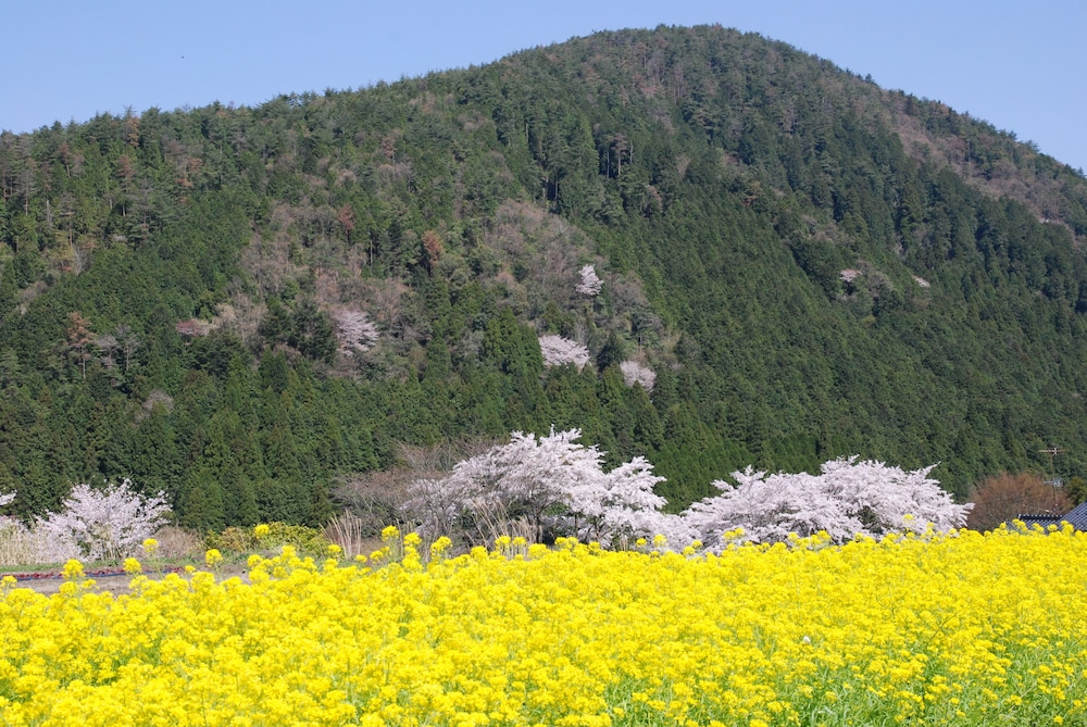 大原温泉 湯元のお宿 民宿大原山荘 京都