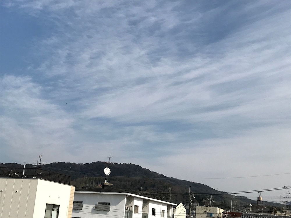 ミルグリシーヌⅡ 京都