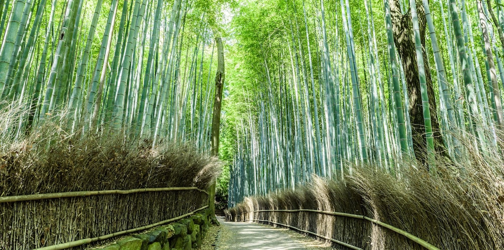 MIMARU 京都 二条城 京都