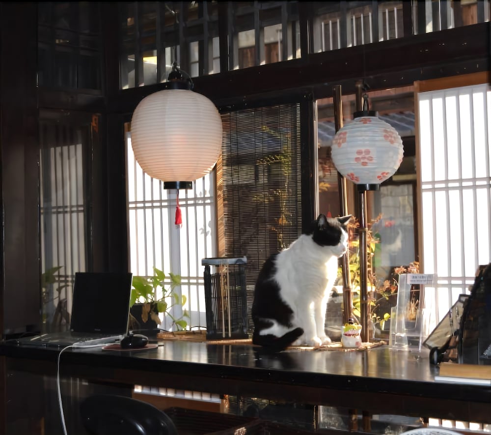 京都白川季楽 INN 京都