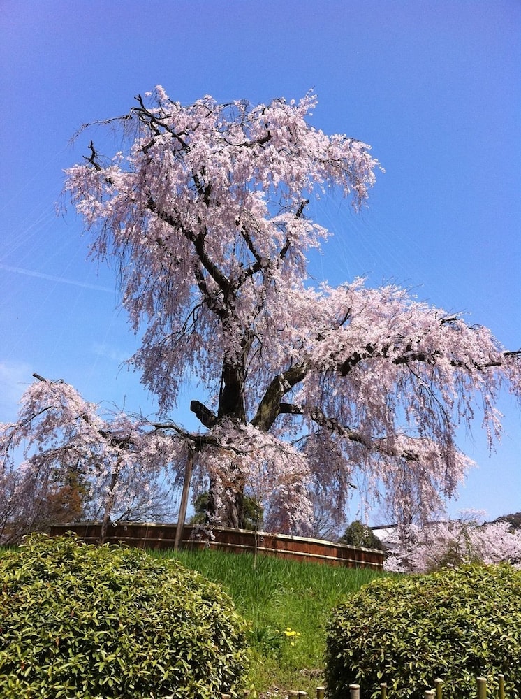 ギナハウス京都 京都