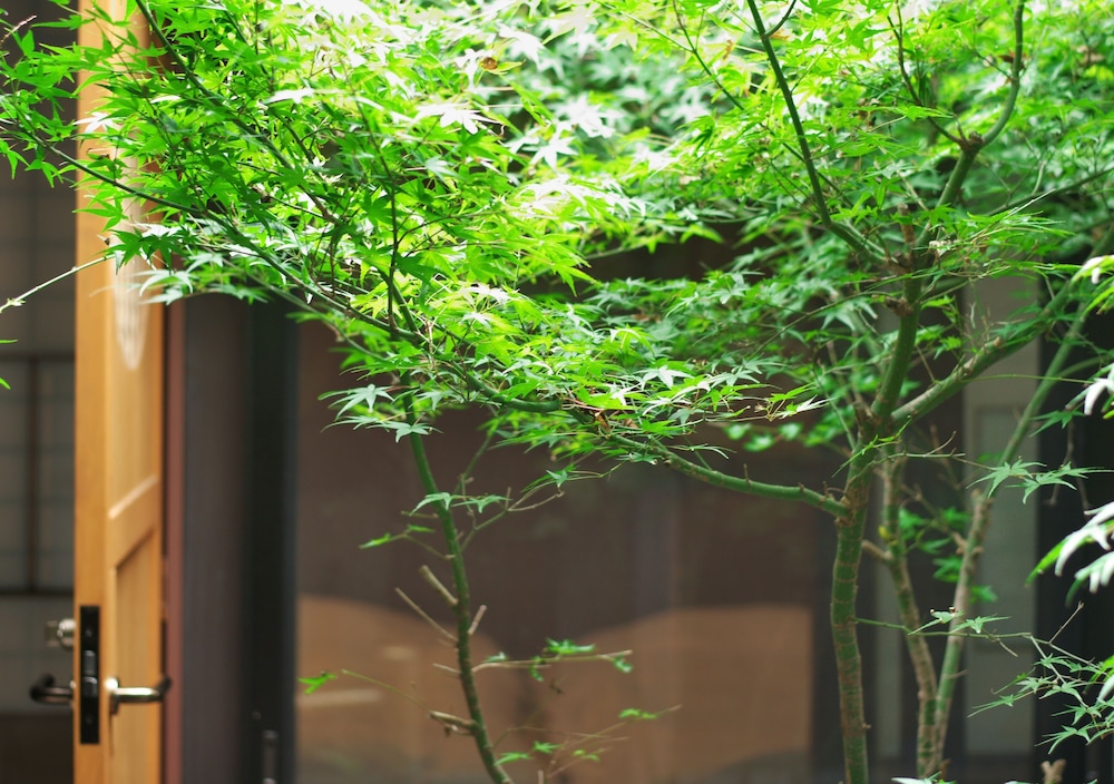 竹屋 北野本館 京都