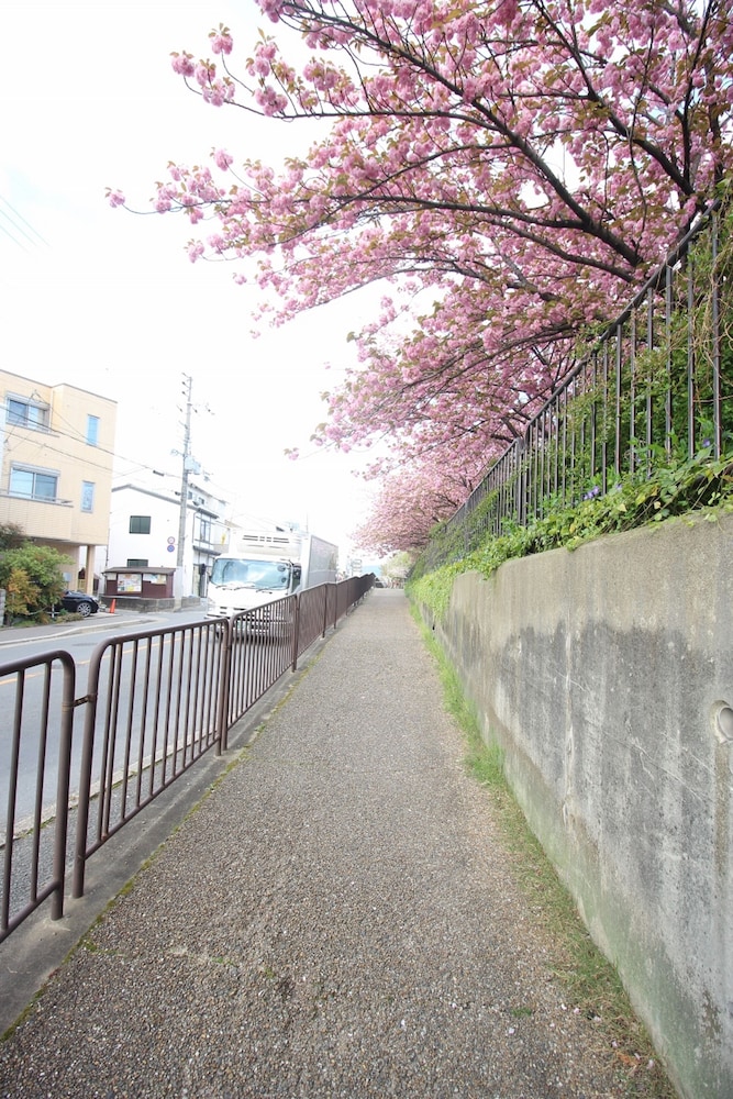 清盛の梅花 京都