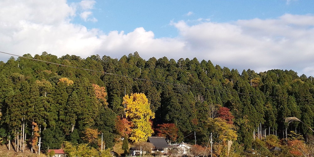 徳平庵 京都