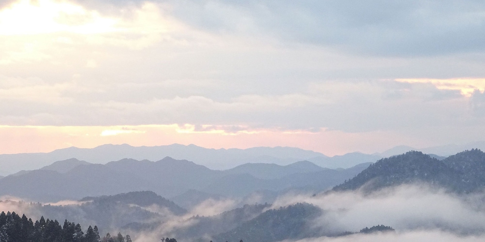 徳平庵 京都