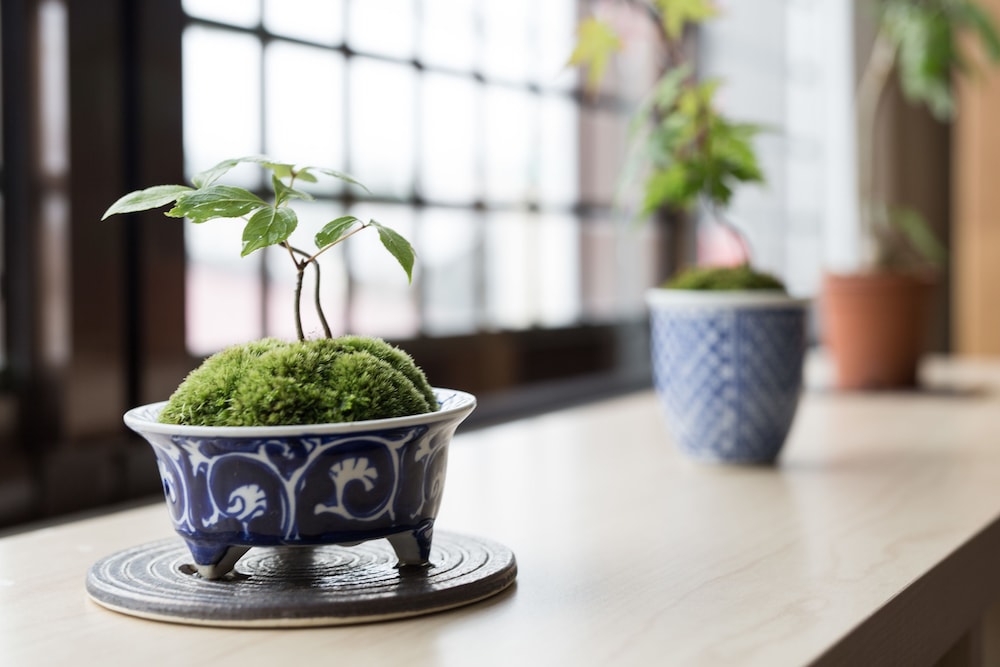 京都ゲストハウスたい 京都
