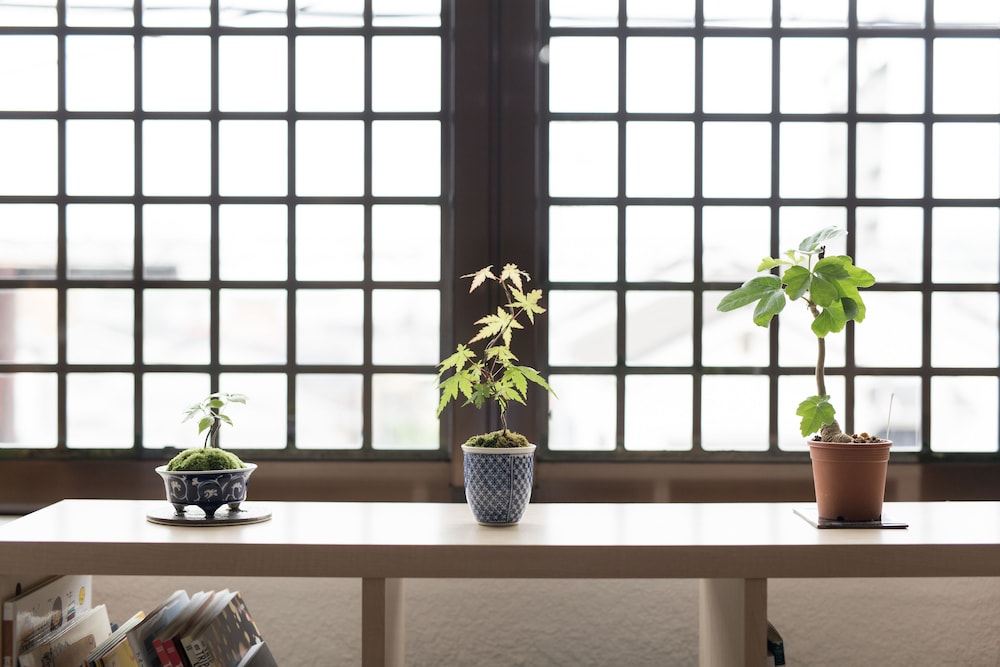 京都ゲストハウスたい 京都