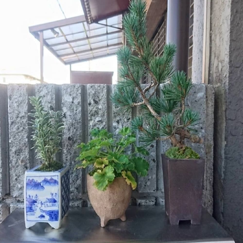 京都ゲストハウスたい 京都
