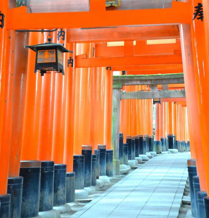 A-UN 京都